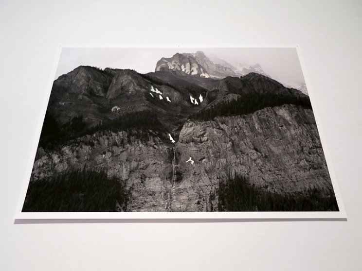 https://dashboard.mirunadragan.com/files/gimgs/th-12_GGallery_Mountain_web.jpg