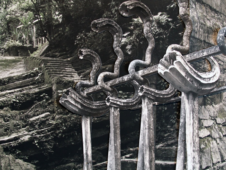 https://dashboard.mirunadragan.com/files/gimgs/th-6_IMG_2470_Xilitla_W.jpg