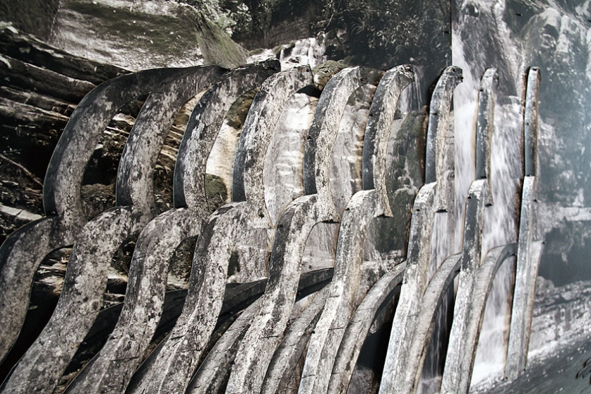https://dashboard.mirunadragan.com/files/gimgs/th-6_IMG_2473_Xilitla_W.jpg