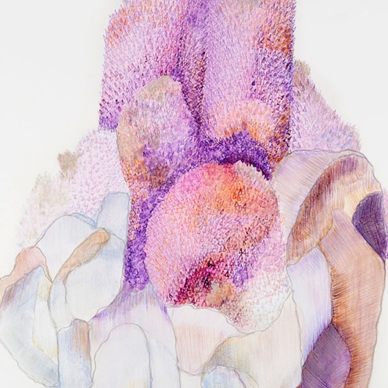 https://dashboard.mirunadragan.com/files/gimgs/th-23_Erratics-Draw3-detail-web_v2.jpg